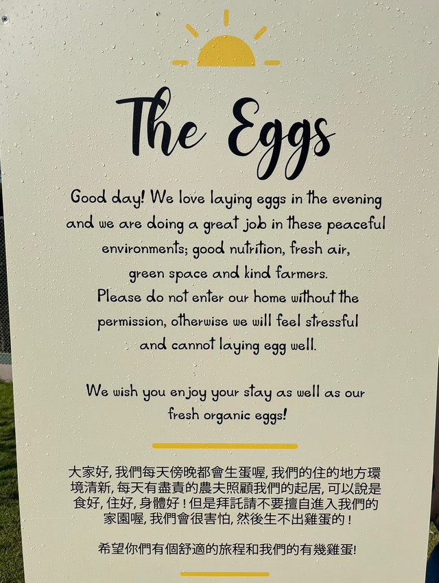 eggs farm
