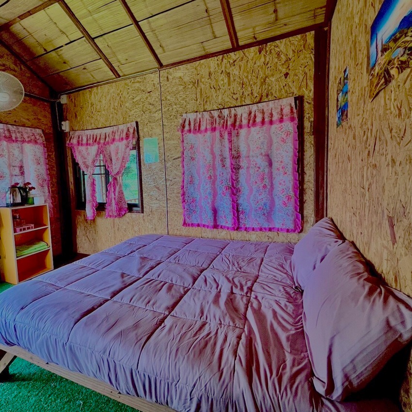 bungalow b bed