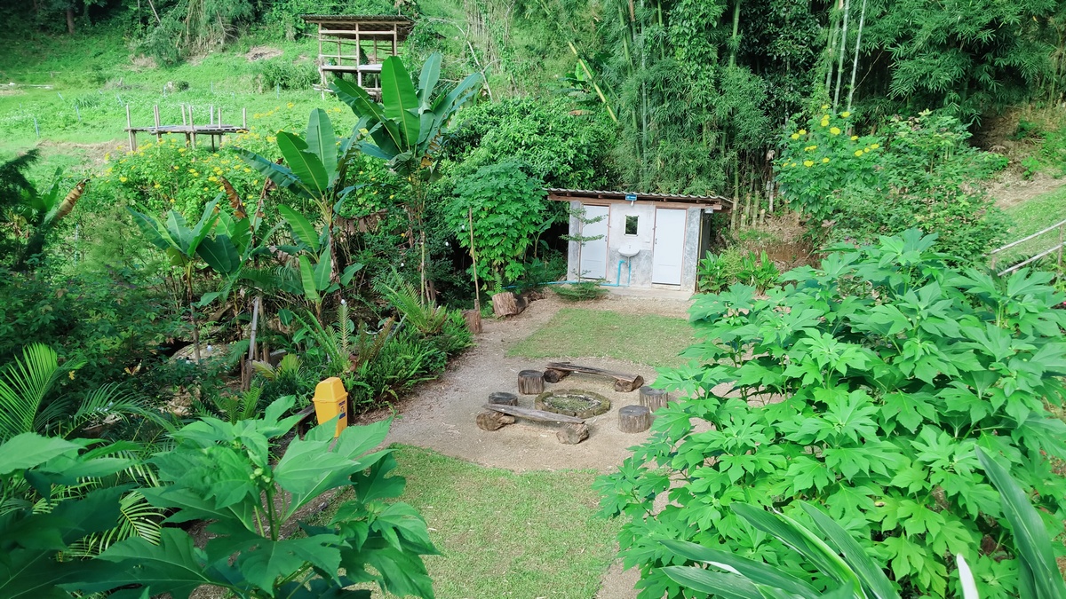 zone 2